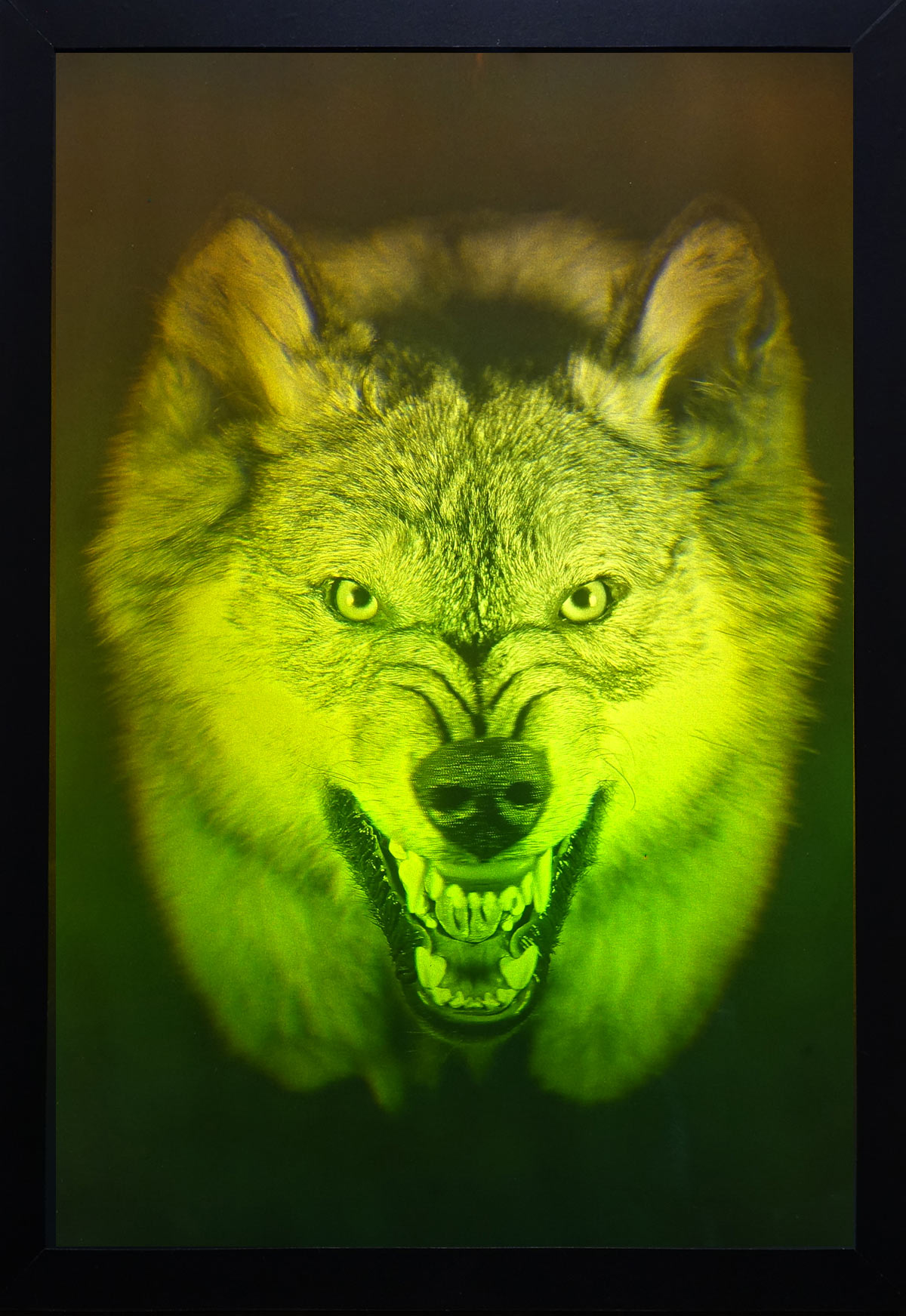 Hologram of a wolf